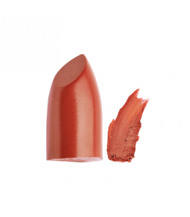 رژ لب جامد این لی مدل Cinnamon شماره 400