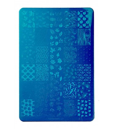 شابلون فلزی ناخن بزرگ شماره XiuYa Nails 21 بی دست