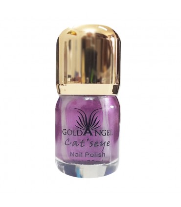 لاک ناخن مغناطیسی-چشم گربه ای گلدآنجل Goldangel شماره 10