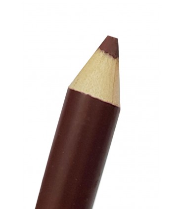 رژ لب مدادی مات فلورمار شماره 008