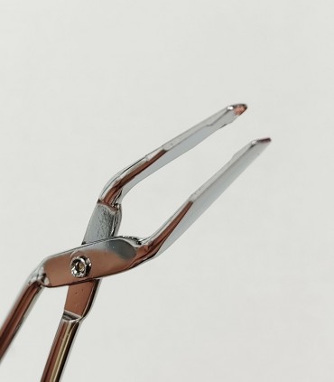 موچین قیچی Nuovo سر