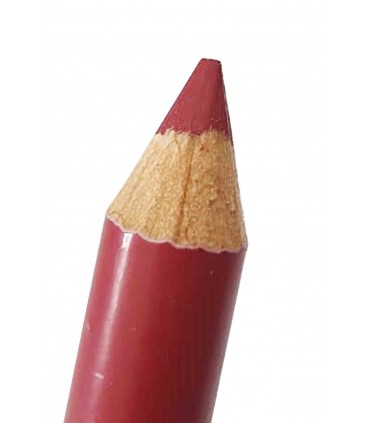 رژ لب مدادی مات فلورمار شماره 005