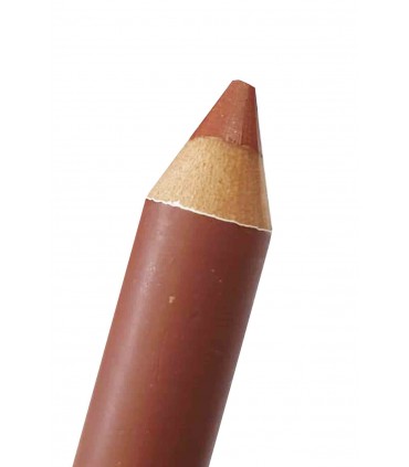 رژ لب مدادی مات فلورمار شماره 408