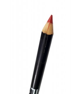 مداد لب پرو شماره 119 1